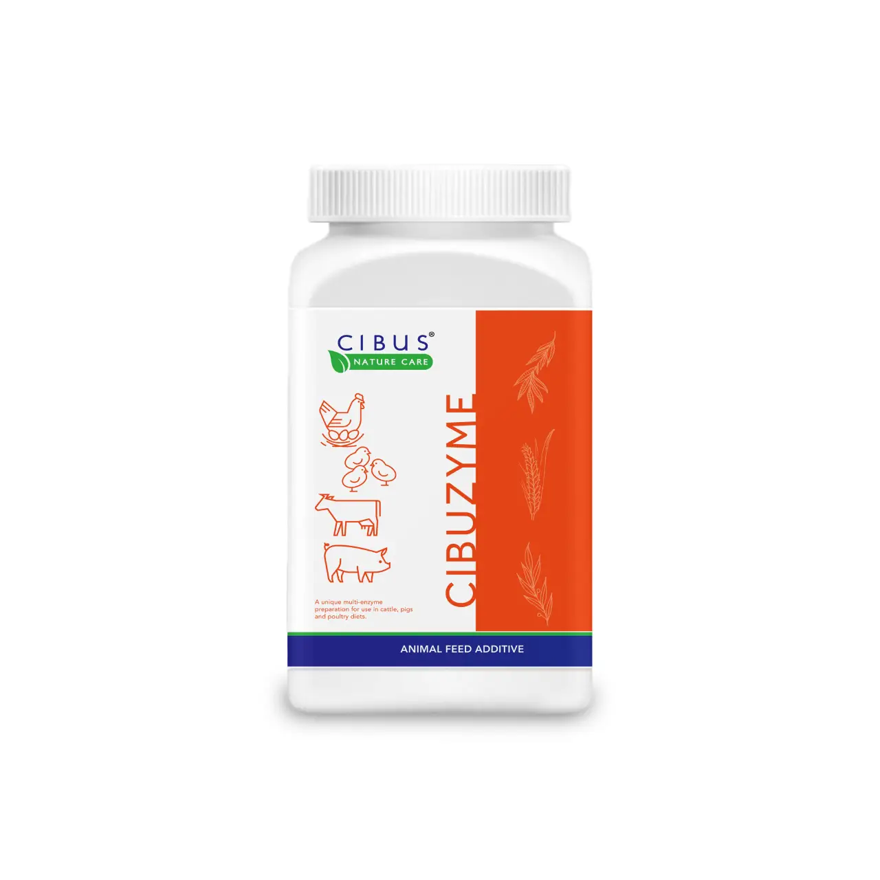 Cibuzyme