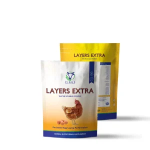 Layers Extra
